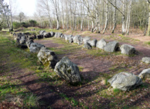 La forêt de Brocéliande, haut lieu magique et porte des secrets.